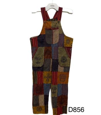 Cotton Multi Print Artwork Grand Canyon Overall D856
